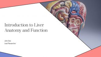 Introduction To Liver Anatomy And Function PPT Template AT