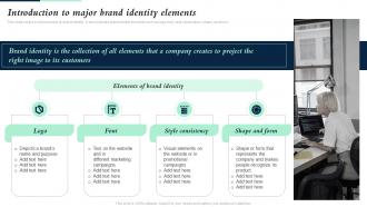 Introduction To Major Brand Identity Elements Building Brand Leadership Strategy