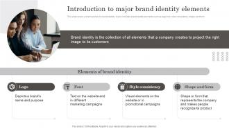 Introduction To Major Brand Identity Elements Developing Brand Leadership Capabilities
