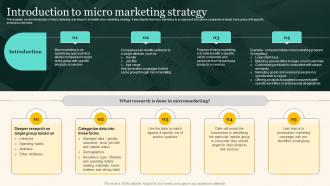 Introduction To Micro Marketing Strategy Marketing Strategies To Grow Your Audience