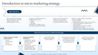 Introduction To Micro Marketing Strategy Targeting Strategies And The Marketing Mix