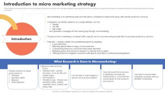 Introduction To Micro Marketing Strategy Types Of Target Marketing Strategies