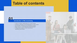 Introduction To Micromarketing Customer Segmentation Technique Table Of Contents MKT SS V