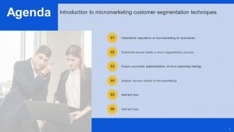Introduction To Micromarketing Customer Segmentation Techniques MKT CD V Template Aesthatic