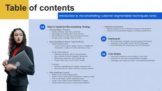 Introduction To Micromarketing Customer Segmentation Techniques MKT CD V Idea Aesthatic