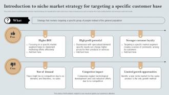 Introduction To Niche Market Strategy For Targeting A Comprehensive Guide MKT SS V