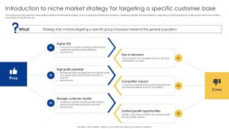Introduction To Niche Market Strategy For Targeting Powerful Sales Tactics For Meeting MKT SS V