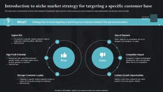 Introduction To Niche Market Strategy Sales Strategies To Achieve Business MKT SS