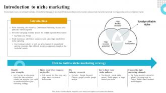 Introduction To Niche Marketing How To Create A Target Market Strategy Strategy Ss V