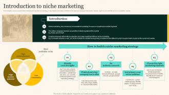 Introduction To Niche Marketing Marketing Strategies To Grow Your Audience