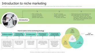 Introduction To Niche Marketing Selecting Target Markets And Target Market Strategies