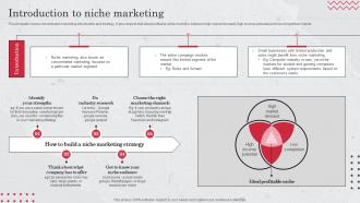 Introduction To Niche Marketing Target Market Definition Examples Strategies And Analysis