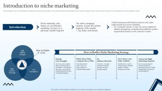 Introduction To Niche Marketing Targeting Strategies And The Marketing Mix