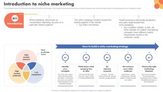 Introduction To Niche Marketing Types Of Target Marketing Strategies