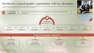 Introduction To Psychographic Segmentation Micromarketing Guide To Target MKT SS