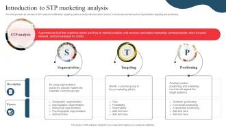 Introduction To STP Marketing Analysis Developing Marketing And Promotional MKT SS V
