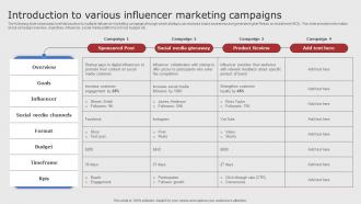 Introduction To Various Influencer Digital Marketing Strategies For Startups Strategy SS V
