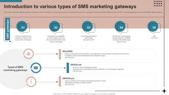 Introduction To Various Types Of SMS Advertising Strategies To Drive Sales MKT SS V