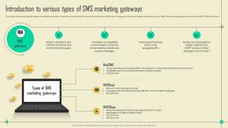 Introduction To Various Types Of Sms Promotional Campaign Marketing Tactics Mkt Ss V
