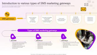 Introduction To Various Types Sms Marketing Campaigns To Drive MKT SS V