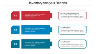 Inventory Analysis Reports Ppt Powerpoint Presentation Infographic Inspiration Cpb
