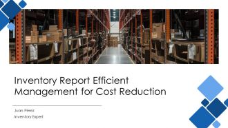 Inventory Report Efficient Management For Cost Reduction PPT Information AT