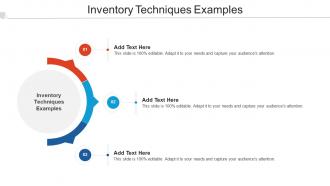 Inventory Techniques Examples Ppt Powerpoint Presentation Pictures Examples Cpb