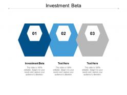 Investment beta ppt powerpoint presentation portfolio influencers cpb