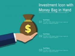 Investment icon with money bag in hand