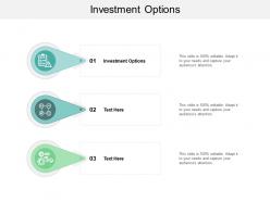 Investment options ppt powerpoint presentation model mockup cpb