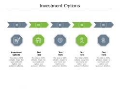 Investment options ppt powerpoint presentation summary infographic template cpb