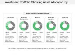 Investment portfolio showing asset allocation by investor profile