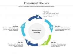 Investment security ppt powerpoint presentation show shapes cpb