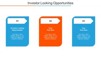 Investor Looking Opportunities Ppt Powerpoint Presentation Infographics Cpb