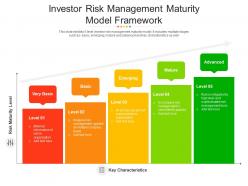 Investor risk management maturity model framework