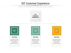 Iot customer experience ppt powerpoint presentation infographics influencers cpb