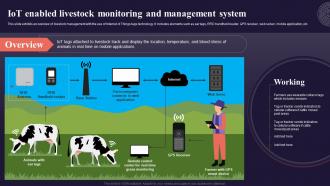 Iot Enabled Livestock Monitoring And Introduction To Internet Of Things IoT SS