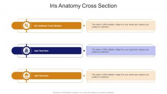 Iris Anatomy Cross Section In Powerpoint And Google Slides Cpb