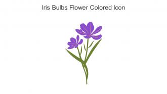 Iris Bulbs Flower Colored Icon In Powerpoint Pptx Png And Editable Eps Format