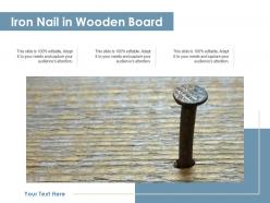Iron nail in wooden board