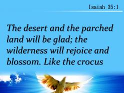 Isaiah 35 1 the wilderness will rejoice powerpoint church sermon