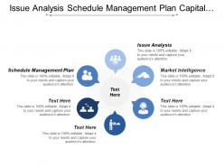 Issue Analysis Schedule Management Plan Capital Market Opportunity Drivers