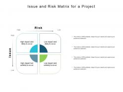 Issue and risk matrix for a project