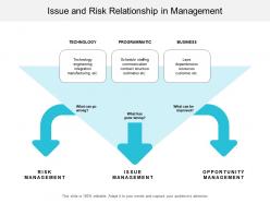 Issue and risk relationship in management
