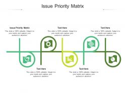 Issue priority matrix ppt powerpoint presentation ideas background image cpb