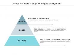 Issues and risks triangle for project management