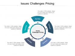 Issues challenges pricing ppt powerpoint presentation show graphics cpb