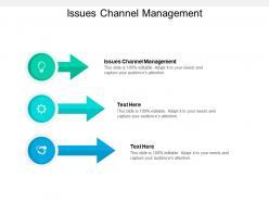 Issues channel management ppt powerpoint presentation show layout cpb