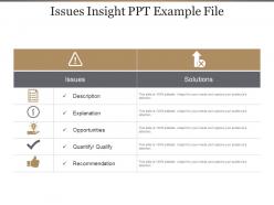 Issues Insight Ppt Example File