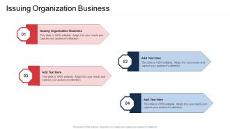 Issuing Organization Business In Powerpoint And Google Slides Cpb